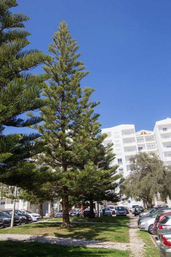 Casa Da Praia Daire Lagos Dış mekan fotoğraf